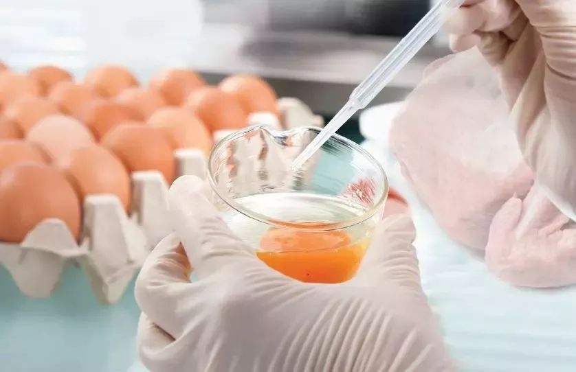 兽药残留检测仪检测鸡蛋、鸡肉中的兽药残留