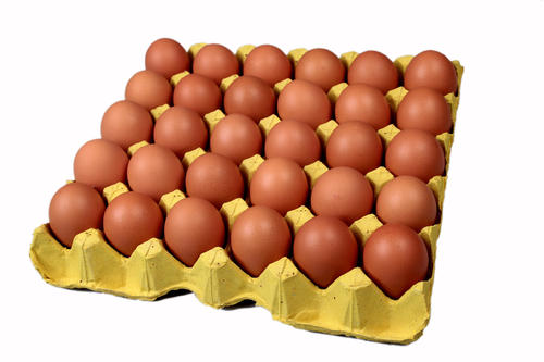 营养价格颇高的鸡蛋频繁检测出兽药残留，你怎么看?